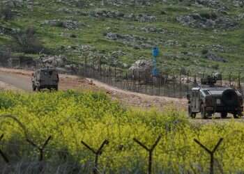 Negev man who entered Lebanon returned through international effort