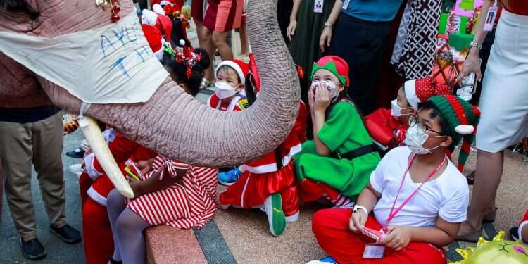 Elephant Santas in Thailand help protect kids against COVID