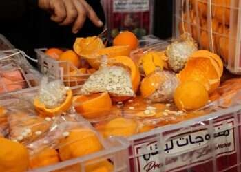 Millions of amphetamine pills seized in citrus cargo in Lebanon