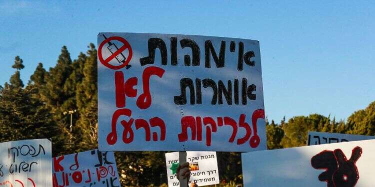 Anti-vaxxers target parents with online intimidation campaign