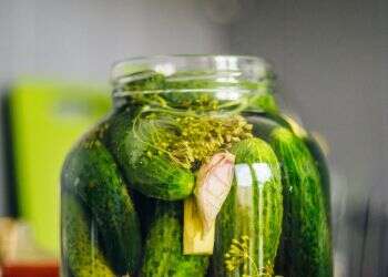 In a pickle over COVID, Wall Street trader seeks challenge he can relish