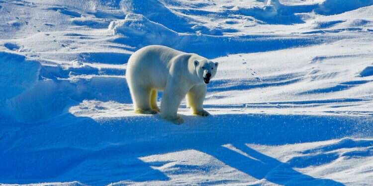 Climate is right for Israeli innovation