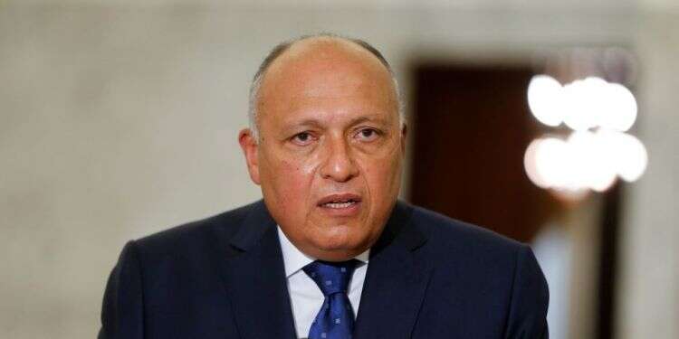 'Egypt supports renewal of Israeli-Palestinian peace talks,' FM says