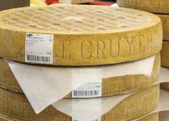 Judge pokes holes in Swiss cheesemakers' trademark argument