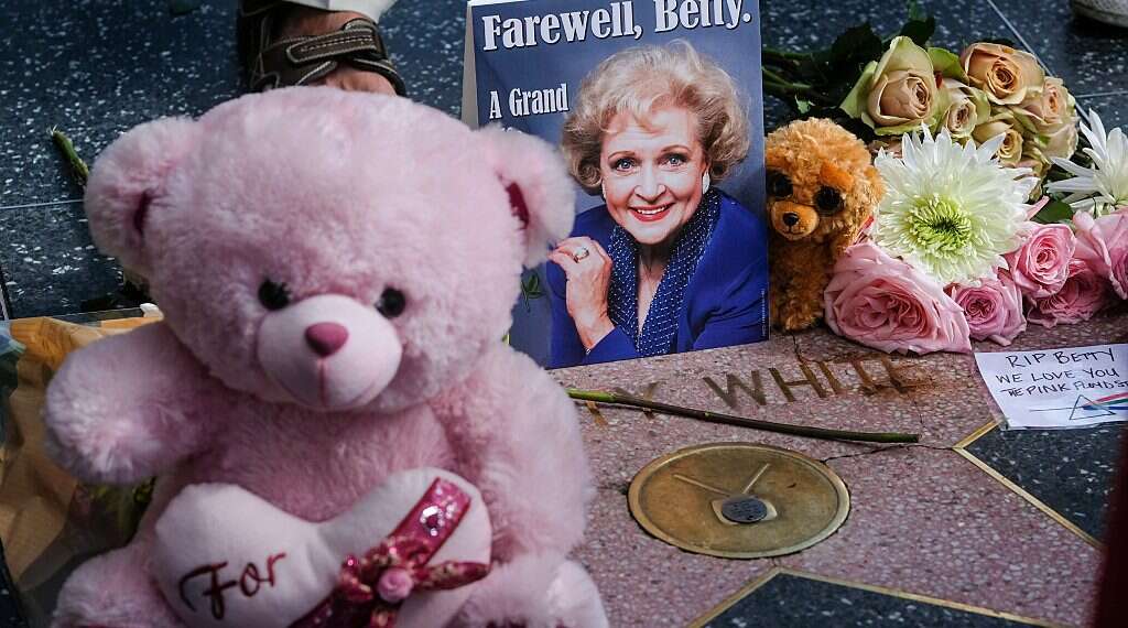 rose toy woman dies Does The Rose Toy Kill Your Eggs And Emit Radiations? 2025 main image 1