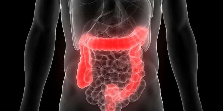 Weizmann-Sheba collaboration could eliminate need for icky, invasive procedure