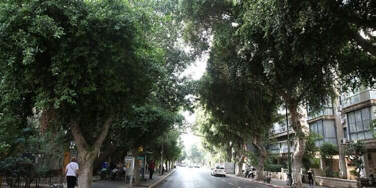 Israel to plant nearly half a million trees in cities by 2040