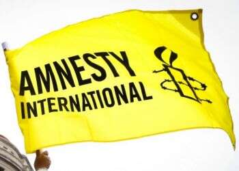 Amnesty International in hot seat over 'diplomatic lynch' of Israel