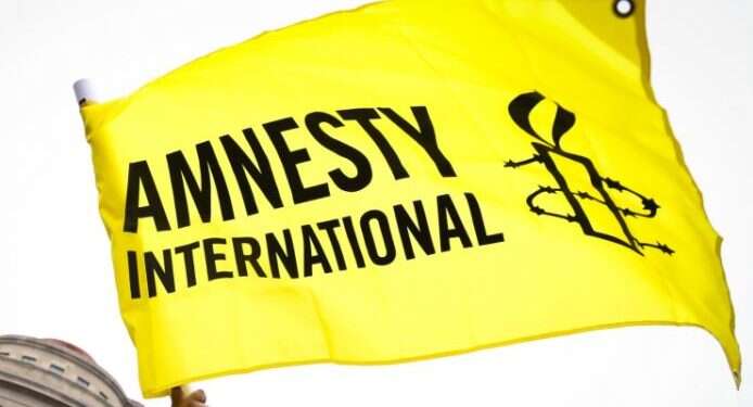 Amnesty International in hot seat over 'diplomatic lynch' of Israel