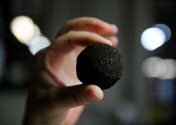 Truffles are considered by many foodies to be one of the tastiest food items on the planet Israeli scientists make cultivating desert truffles possible