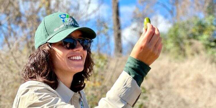 Future of Israeli foresters lies mostly with women, agency finds