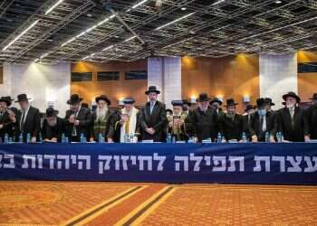 Were WZO funds used for conference against conversion reform?