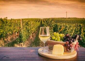 The Binyamina Winery was established in 1952 70 years on, spirits push Binyamina Winery forward