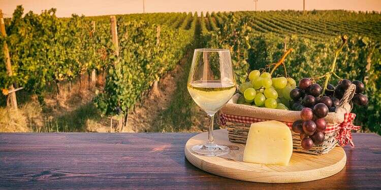 70 years on, spirits push Binyamina Winery forward