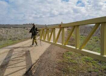 A professional military is not right for Israel