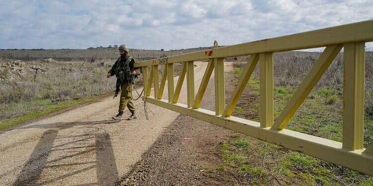 A professional military is not right for Israel