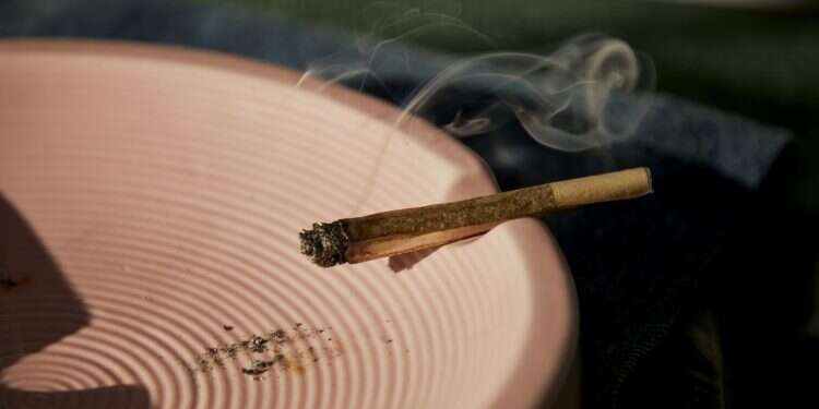 Authorities left a grey area around how tolerant they will be with regards to growing and using Thailand becomes first Asian nation to decriminalize recreational cannabis