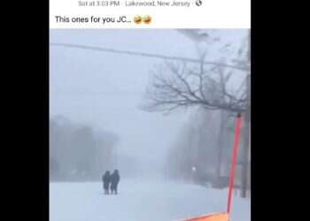 Probe launched into US driver who plowed snow on Orthodox Jews