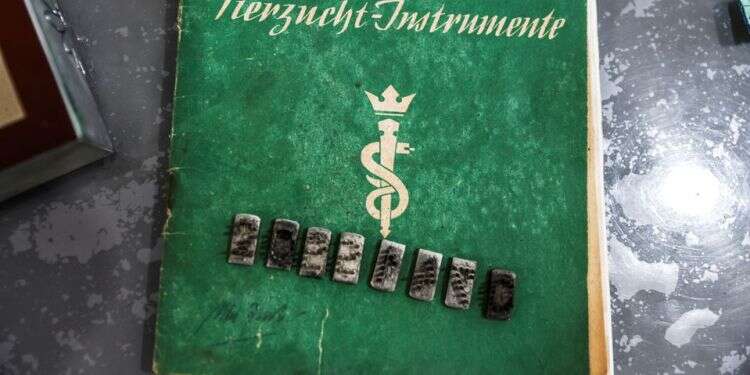 The dies from a tattoo kit, and a manual, are displayed November 2, 2021 at an Israeli auction house Yad Vashem: Unlikely purported 'Auschwitz tattoo kit' was used on Jews