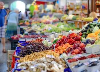 UN agency cautioned that its projections did not take into account the possible impact of the conflict between Russia and Ukraine Chew on this: Israel ranks 6th among 'most expensive countries for groceries'