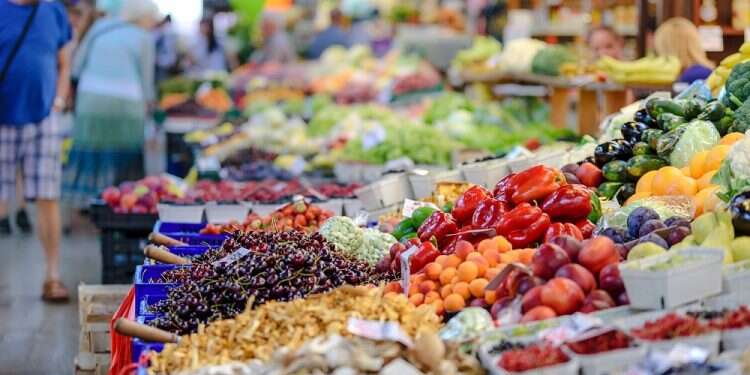 UN agency cautioned that its projections did not take into account the possible impact of the conflict between Russia and Ukraine Israel ranks 6th among 'most expensive countries for groceries'
