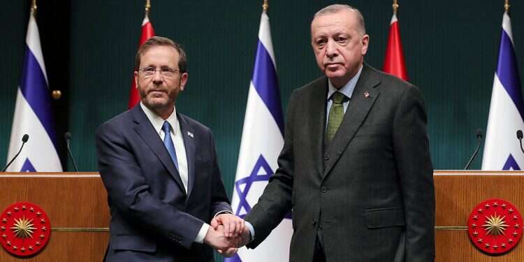 Erdogan welcomes Herzog, calls visit 'turning point' in relations