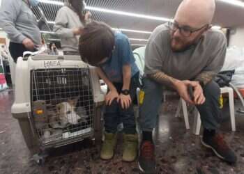 Over 40 pets rescued from Ukraine war zone arrive in Israel