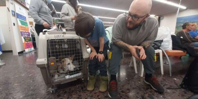 Over 40 pets rescued from Ukraine war zone arrive in Israel