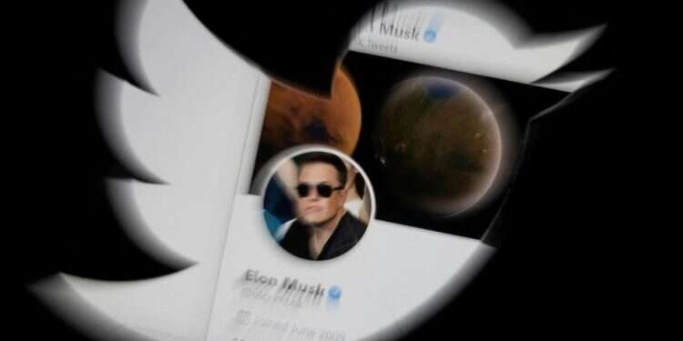 Musk gets Twitter for $44B to cheers and fears of 'free speech' plan