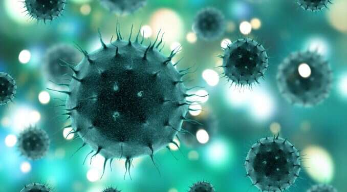 New coronavirus variant detected in Israel
