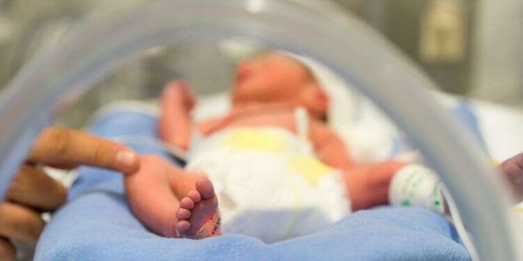 Israel expands vaccination campaign for premature babies following spike in RSV