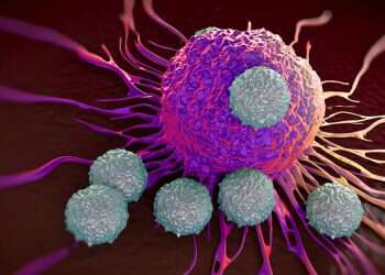 Breakthrough Israeli treatment bolsters immune system to attack cancer cells