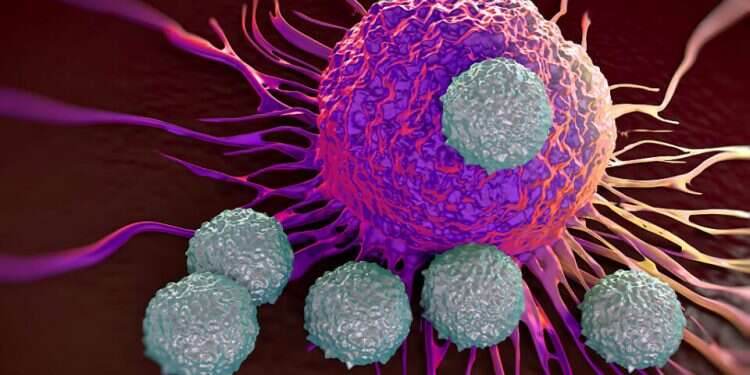 Breakthrough Israeli treatment bolsters immune system to attack cancer cells