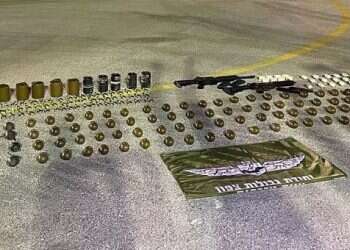 Security forces foil large weapon smuggling attempt on northern border