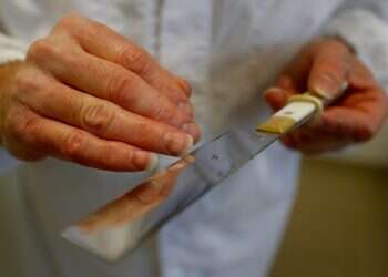An Orthodox rabbi checks his knife in a kosher slaughterhouse in Csengele, Hungary on Jan. 15, 2021. The Hungarian Jewish community fears that a European Court of Justice verdict upholding a ban on ritual slaughter could affect other EU nations' laws Kosher, halal slaughter unites France's Jewish, Muslim voters