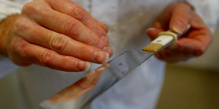 An Orthodox rabbi checks his knife in a kosher slaughterhouse in Csengele, Hungary on Jan. 15, 2021. The Hungarian Jewish community fears that a European Court of Justice verdict upholding a ban on ritual slaughter could affect other EU nations' laws Kosher, halal slaughter unites France's Jewish, Muslim voters