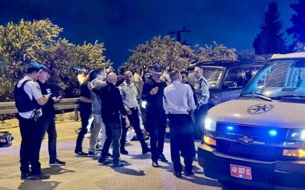 Mentally ill man killed while trying to steal female soldier's gun