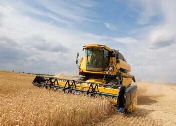 Egypt importing more wheat from Russia despite Ukraine war