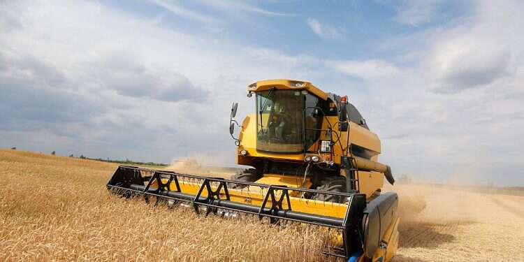 The proper strategy would ensure Israel's food system will be able to withstand shocks to the global market Egypt importing more wheat from Russia despite Ukraine war