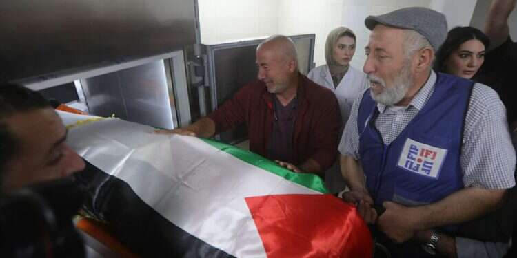 IDF chief announces special panel to investigate death of Al-Jazeera journalist