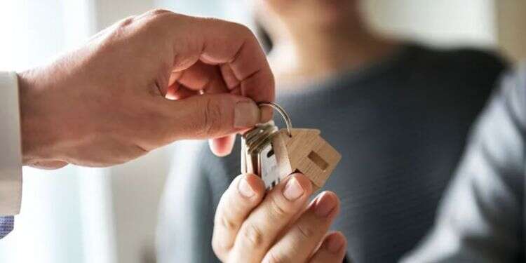 Half of apartment purchases made by high-tech sector employees, data shows