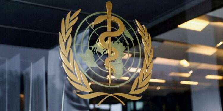 COVID led to 15 not 5 million deaths globally, WHO says