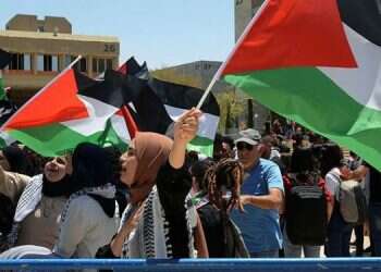 Likud MK seeks to outlaw display of enemy flags at state-funded  institutions