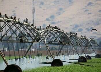 Following Lieberman visit, Israeli agriculture mission headed to Azerbaijan