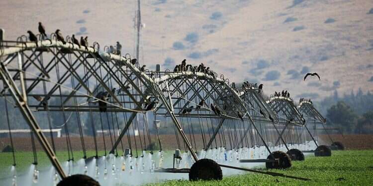 Following Lieberman visit, Israeli agriculture mission headed to Azerbaijan