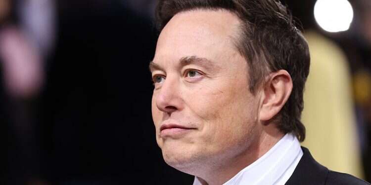 'It was wrong to ban Donald Trump from Twitter'