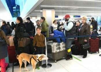 Israel to extend visas for Ukrainian refugees