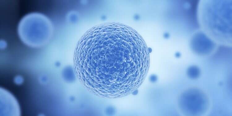 BioGenCell completes $16 million seed round, gears for Phase 2 trial