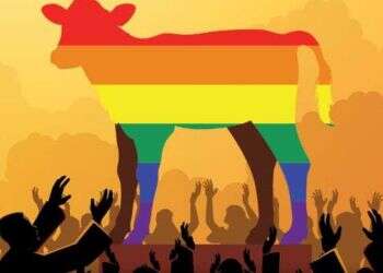 'It is sad that this is what the cover of the Israeli looks like in 2022,' minister says Right-wing TV channel under fire for alleged anti-gay incitement