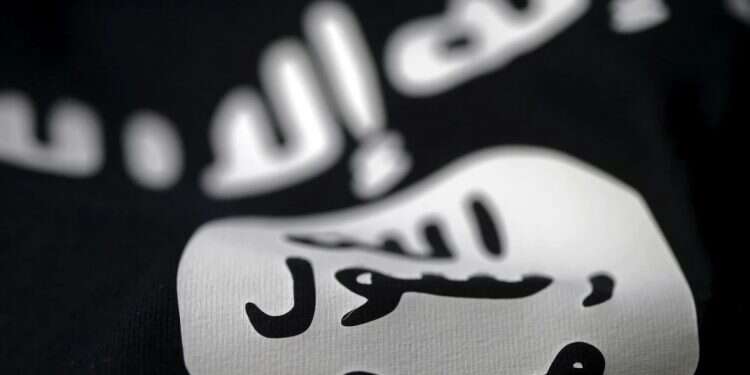 US-led coalition nabs senior ISIS leader in Syria